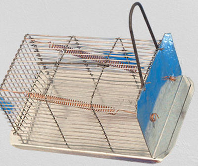Ποντικοπαγίδα-Κλουβί Γαλβανιζέ 27.5 x 14.5cm