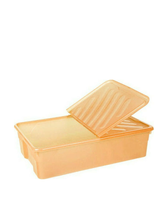 Homeplast Κουτί Φύλαξης Με Καπάκι Και Ροδάκια 55lt 70x46x20cm Πορτοκαλί